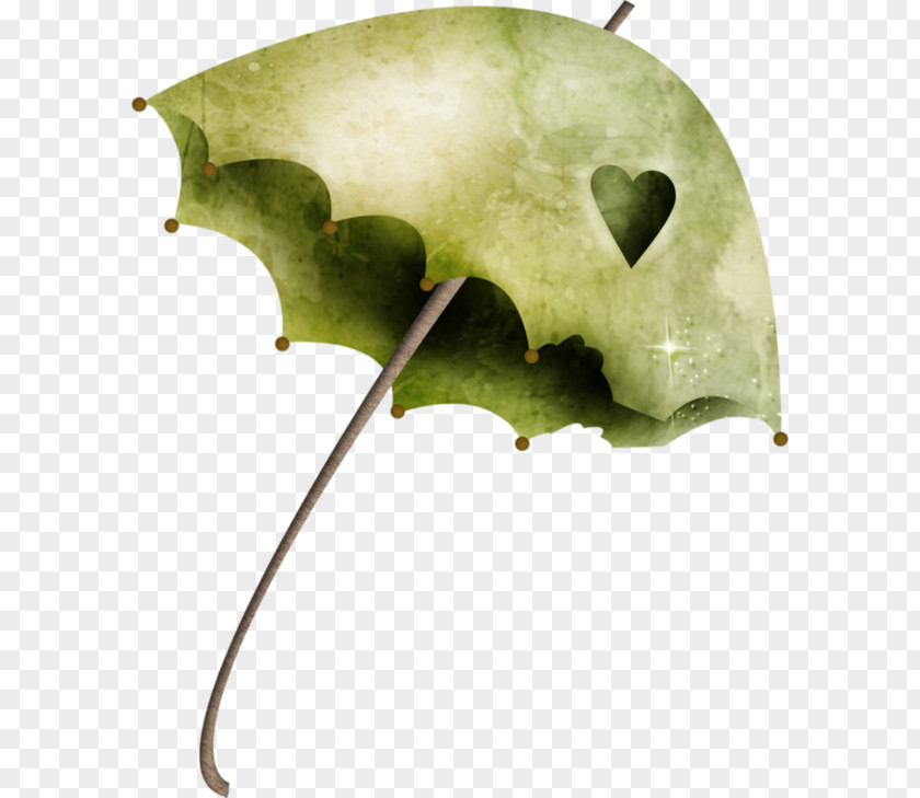 Green Umbrella Fashion Clip Art PNG