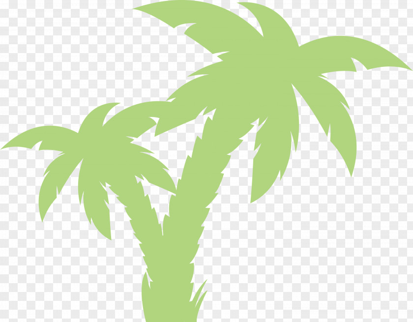 Palm Trees PNG