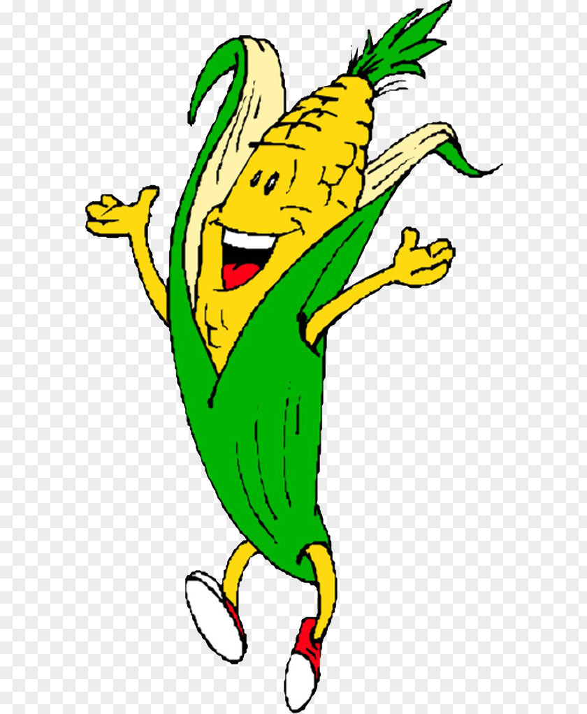 Corn Konows Maze Candy On The Cob Maize PNG