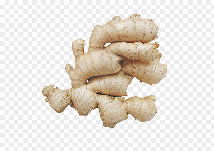 Ginger Root Vegetables PNG