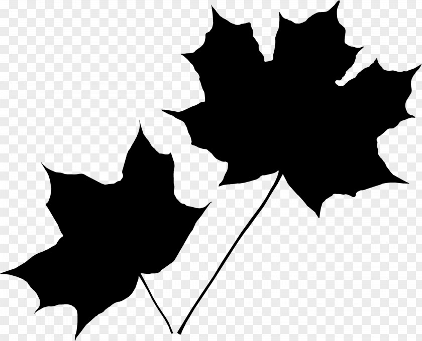 Maple Leaf Autumn White Red PNG