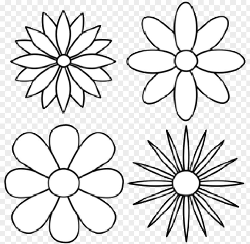 Painting Drawing Flower Sketch PNG