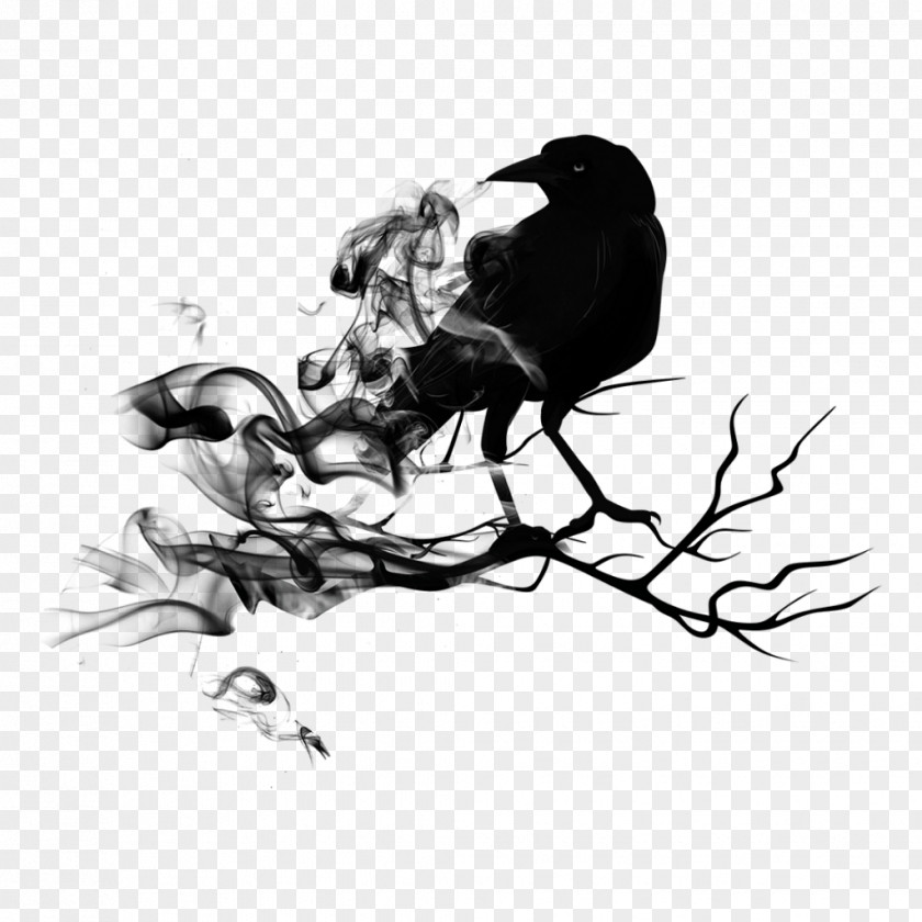 Bird Common Raven Crow Clip Art PNG