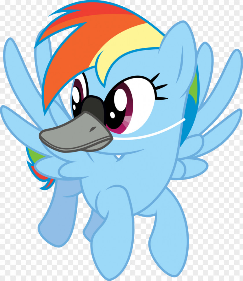 Literal My Little Pony Rainbow Dash Spike PNG