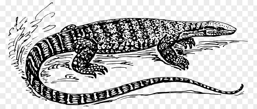 Lizard Komodo Dragon Common Iguanas Reptile Clip Art PNG