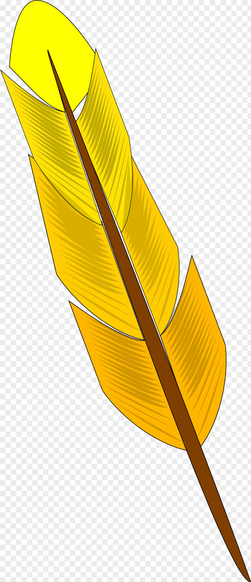 Feather Yellow Clip Art PNG