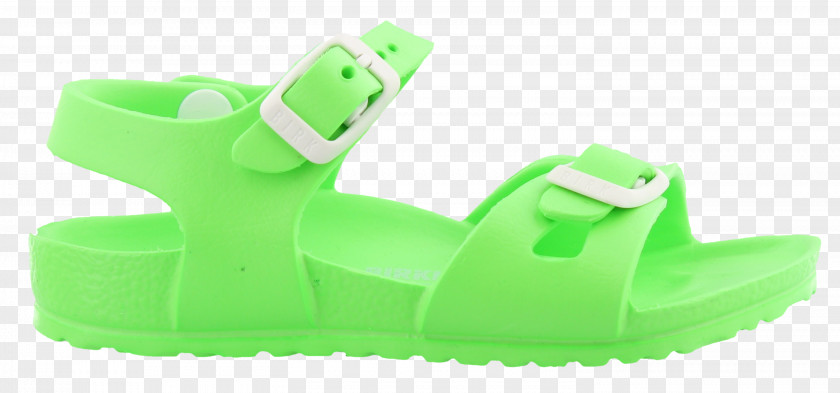 Sandal Slipper Birkenstock Shoe Green PNG