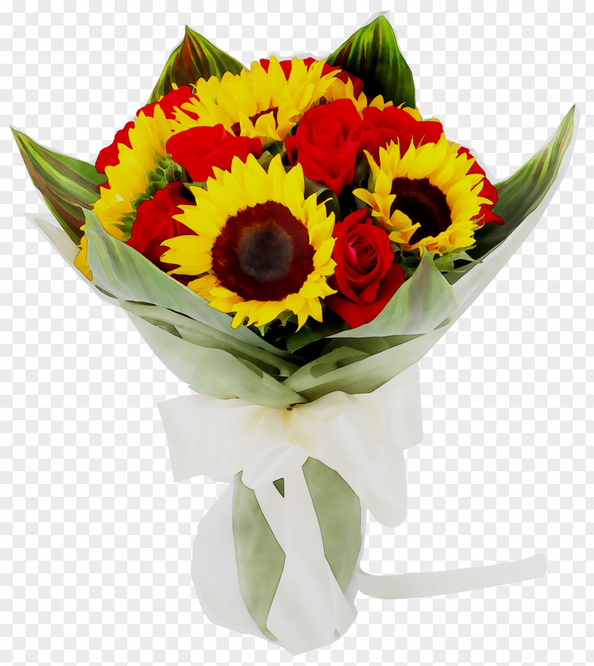 Transvaal Daisy Floral Design Cut Flowers Flower Bouquet PNG