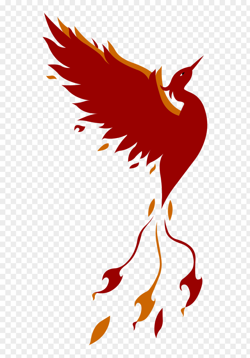 C130 Phoenix Beak DeviantArt PNG