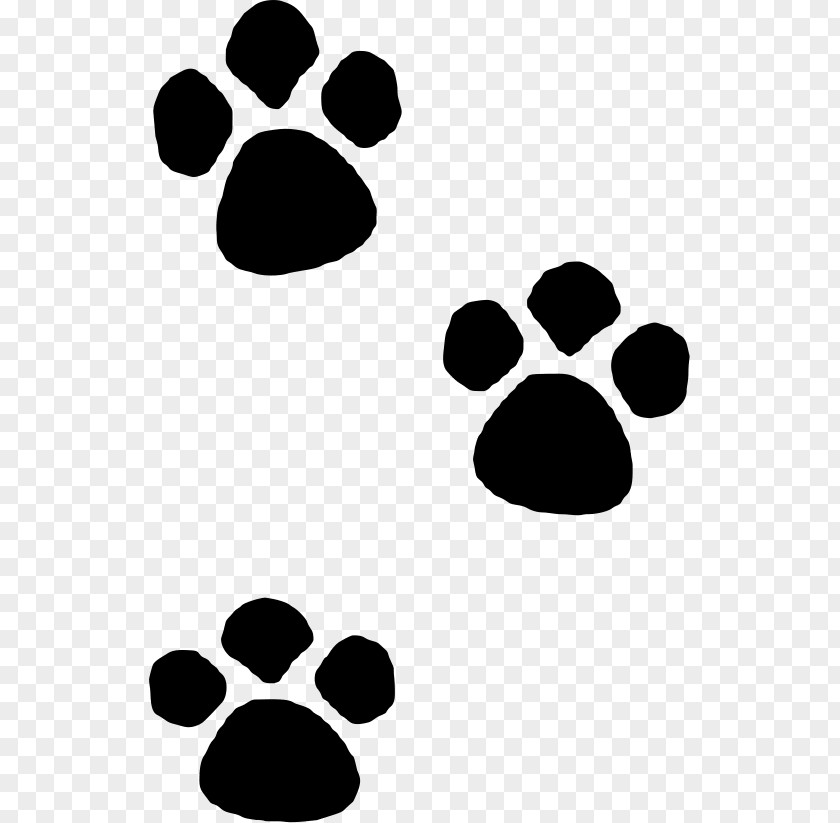 Cat Paw Drawing Dog Tiger PNG