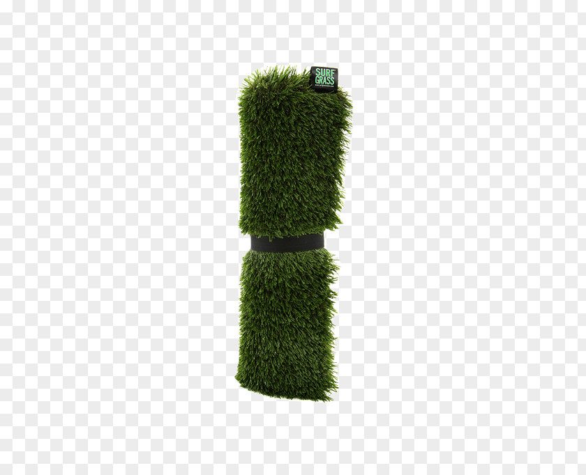 Grass Mat Shrub PNG