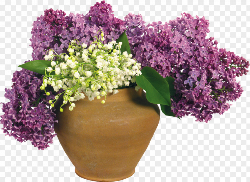 Lily Of The Valley Flowerpot Lilac Clip Art PNG