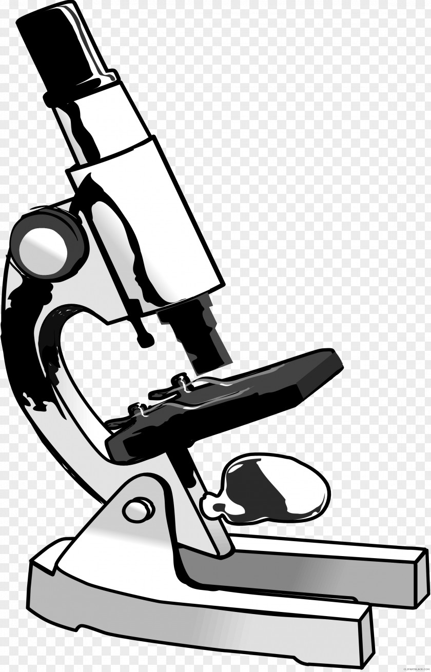 Microscope Clip Art Optical Vector Graphics Light PNG