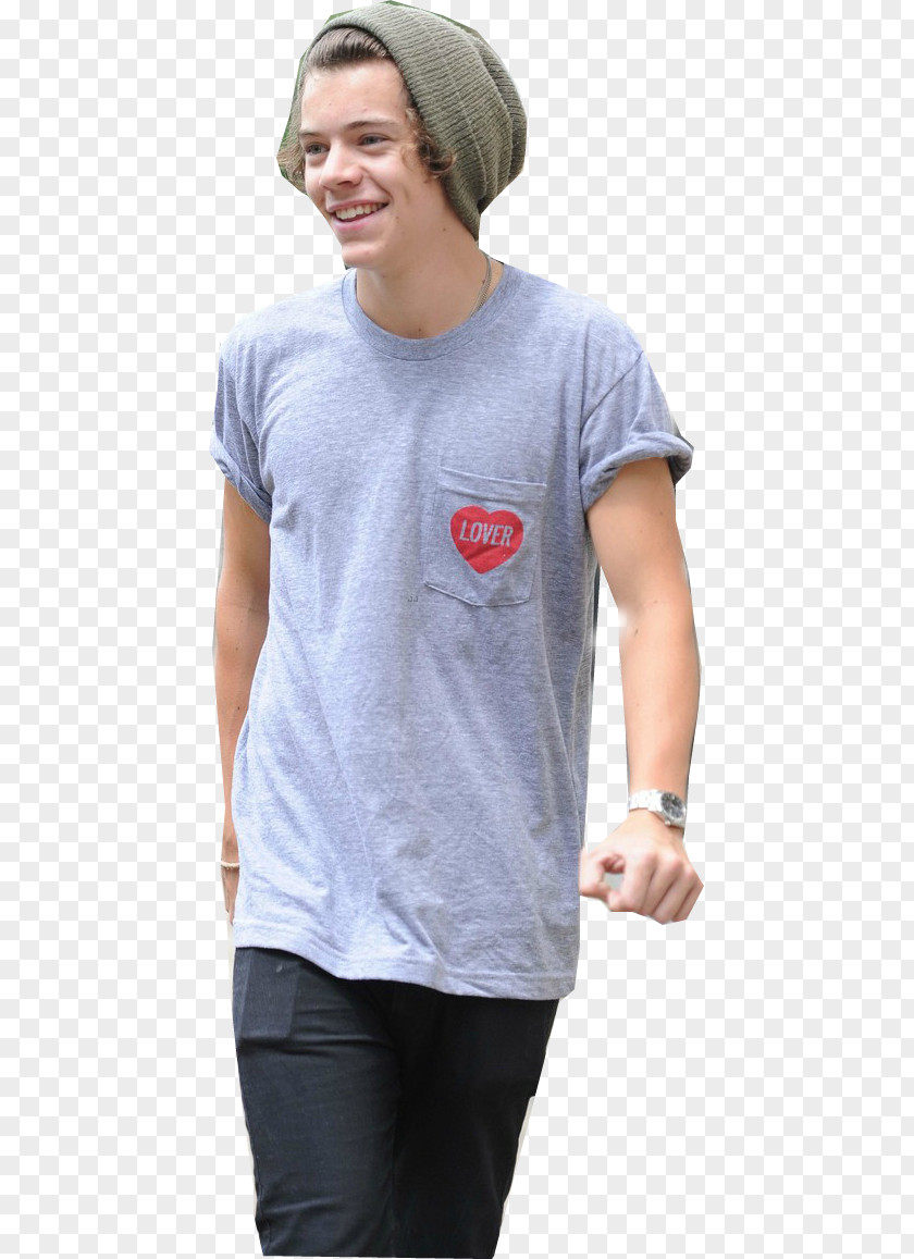 One Direction Harry Styles: Live On Tour Take Me Home PNG