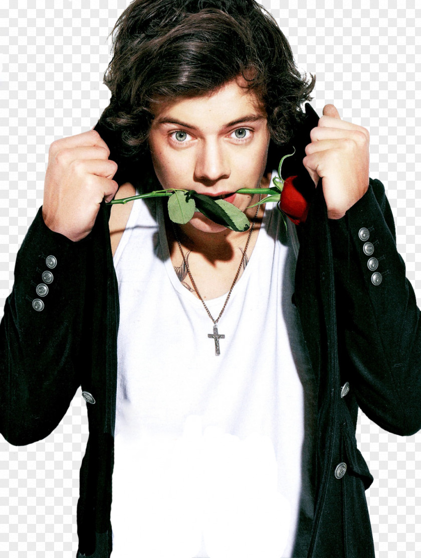 STYLE Harry Styles The X Factor One Direction Clip Art PNG