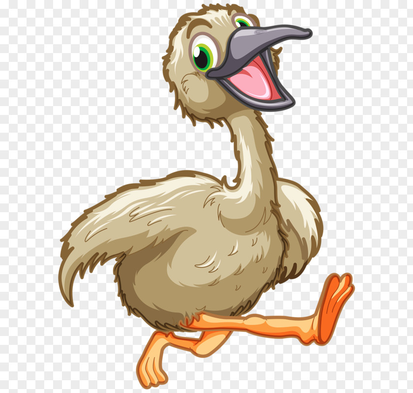 Duck Euclidean Vector PNG