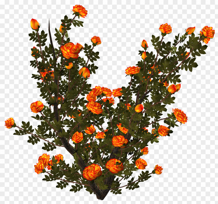 Flower Shrub Floral Design Blog Image PNG