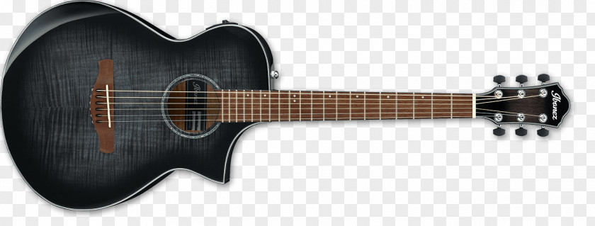 Guitar Twelve-string Ibanez Acoustic-electric Acoustic PNG