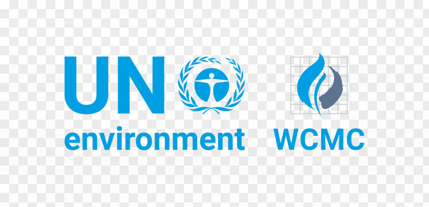 Natural Environment United Nations Framework Convention On Climate Change The Programme Office At Geneva PNG
