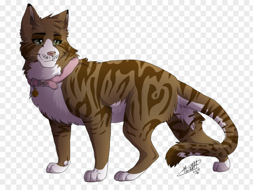 Shading Style Cat Warriors Whiskers Erin Hunter Cloudtail PNG