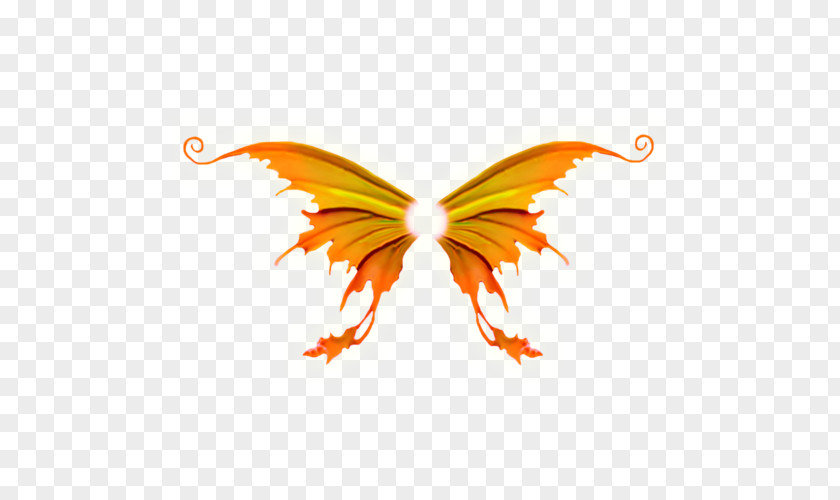 Wing Clipart Brush-footed Butterflies Butterfly Image PNG
