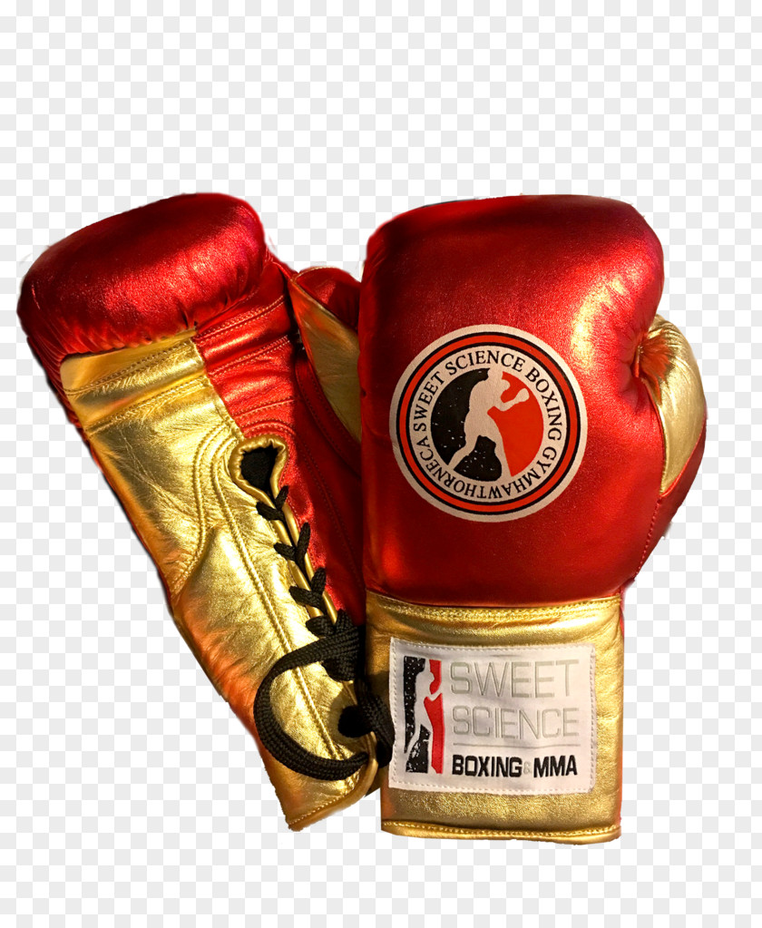 Boxing Gloves Glove Sparring Kickboxing PNG