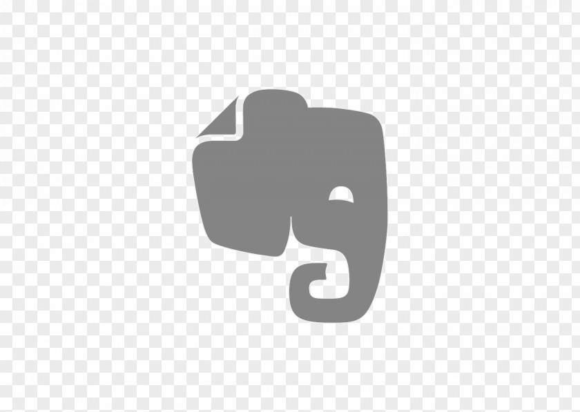 Elephants Evernote Logo Screenshot PNG