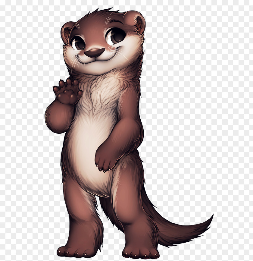 Ferret Weasels Otter Wiki PNG