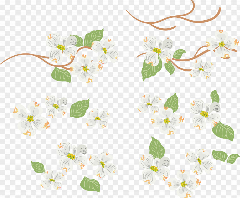 Floral Design Flower Vector Graphics Leaf PNG