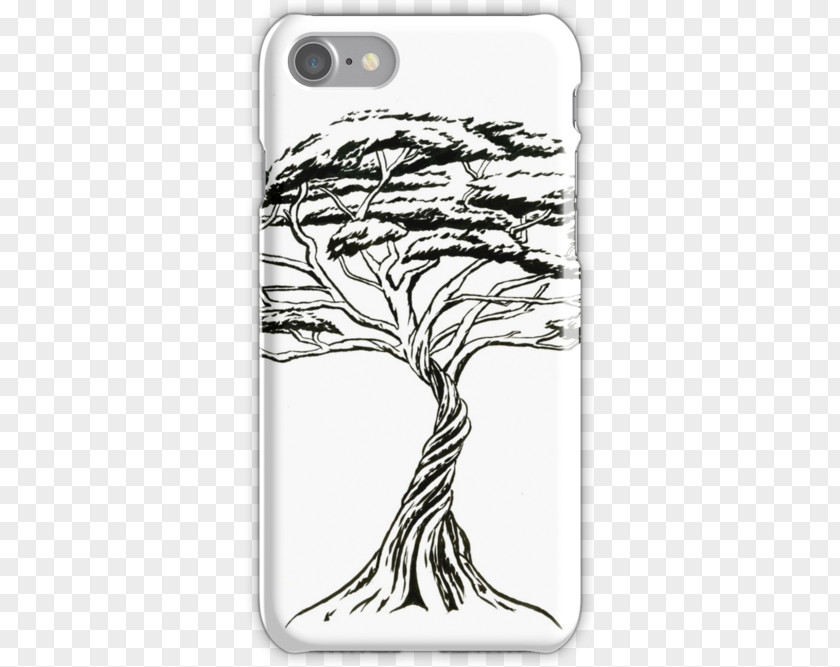 Iphone Illustration Bonsai Drawing Tree Vachellia Drepanolobium Tortilis PNG