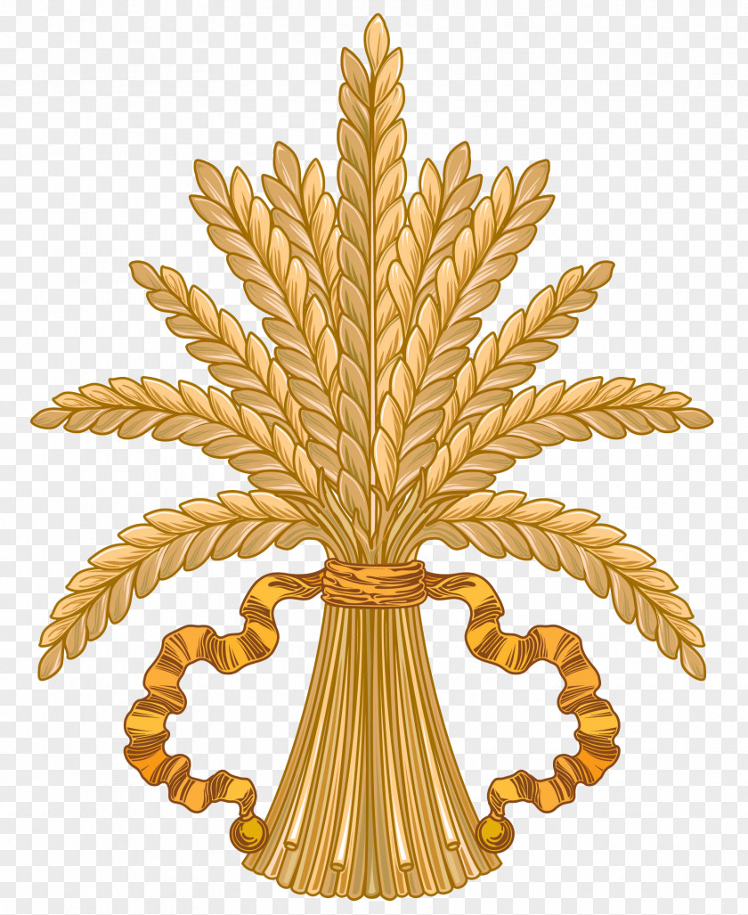 Wheat Caryopsis Clip Art PNG