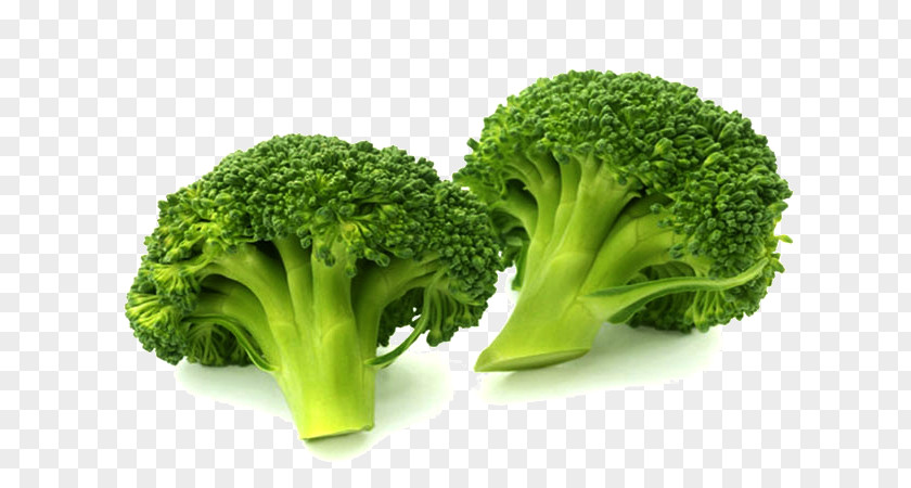 Broccoli Vegetable Cauliflower Food Cabbage PNG