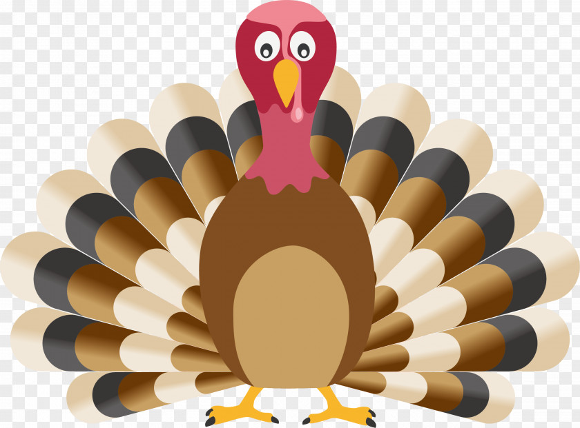 Cartoon Vector Peacock Turkey Barbeque By Froggies Buffet Thanksgiving Dinner PNG
