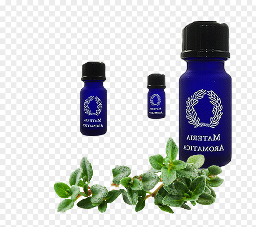 Essential Oil Recipes Thyme Herb Oregano Tea PNG