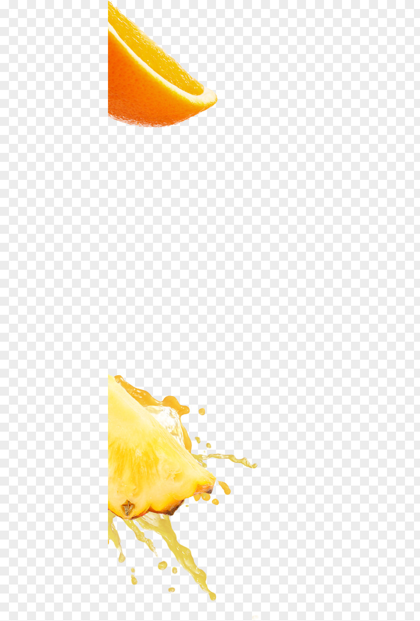 Fruits Splsh Apricot Grapefruit Juice PNG