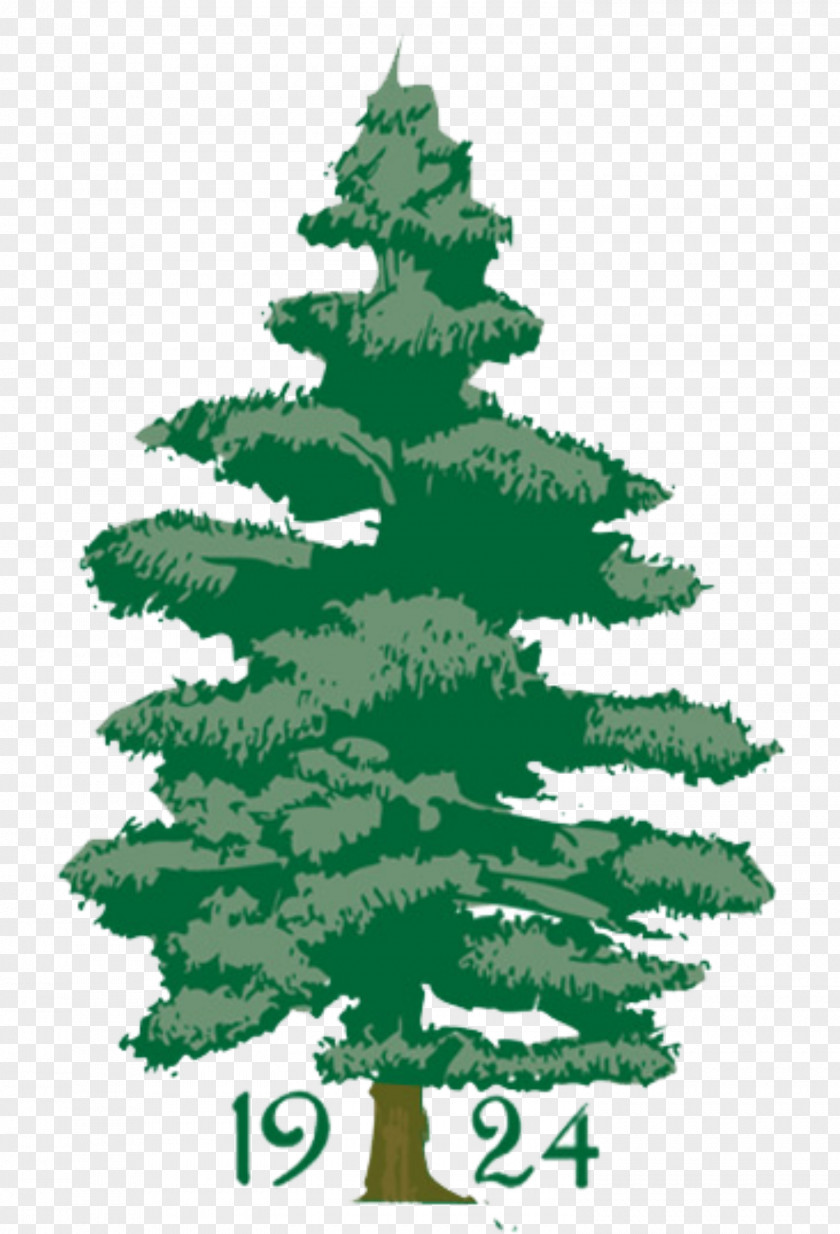 Golf Penobscot Valley Country Club Course Christmas Tree PNG