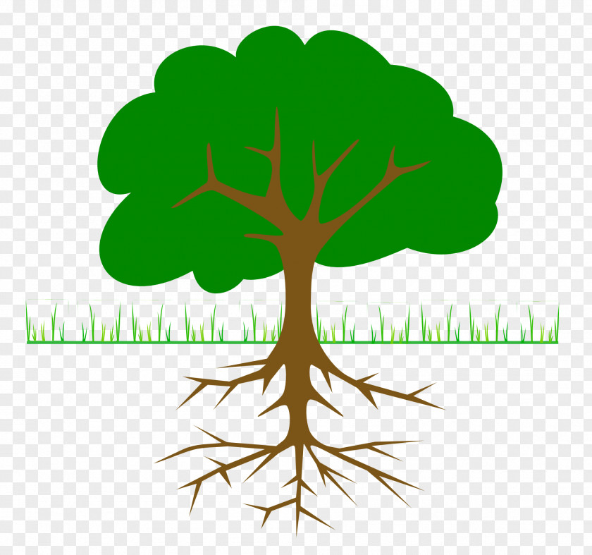 Simple Plant Cliparts Tree Root Oak Clip Art PNG