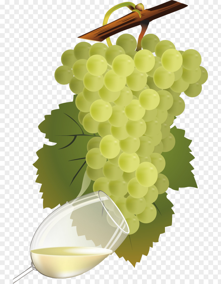 Wine Common Grape Vine Vinho Verde PNG