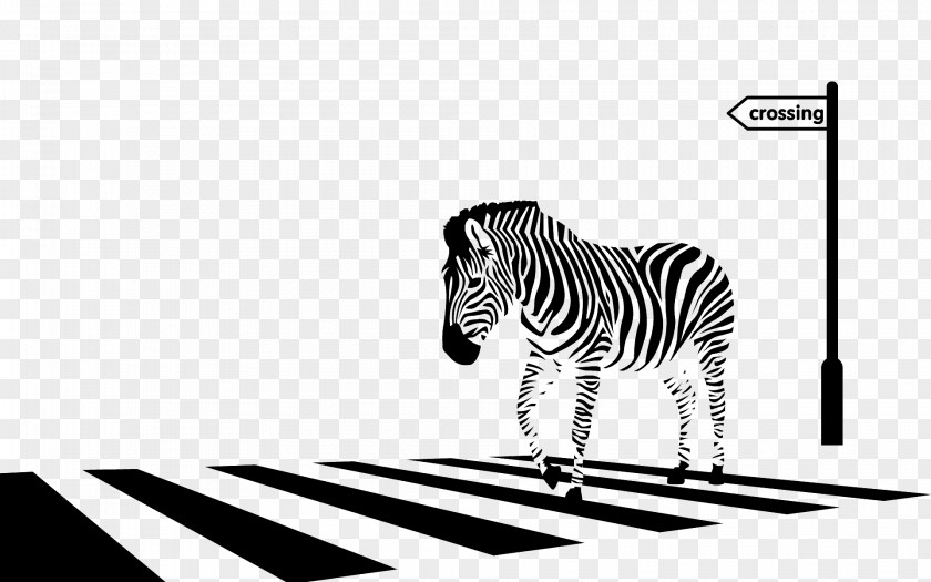 Zebra Crossing Drawing PNG