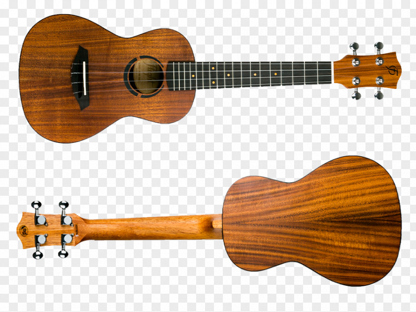 Acoustic Guitar Ukulele Cuatro Tiple Cavaquinho PNG