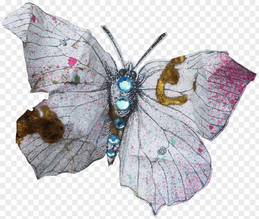 Butterfly Tags Nymphalidae PNG