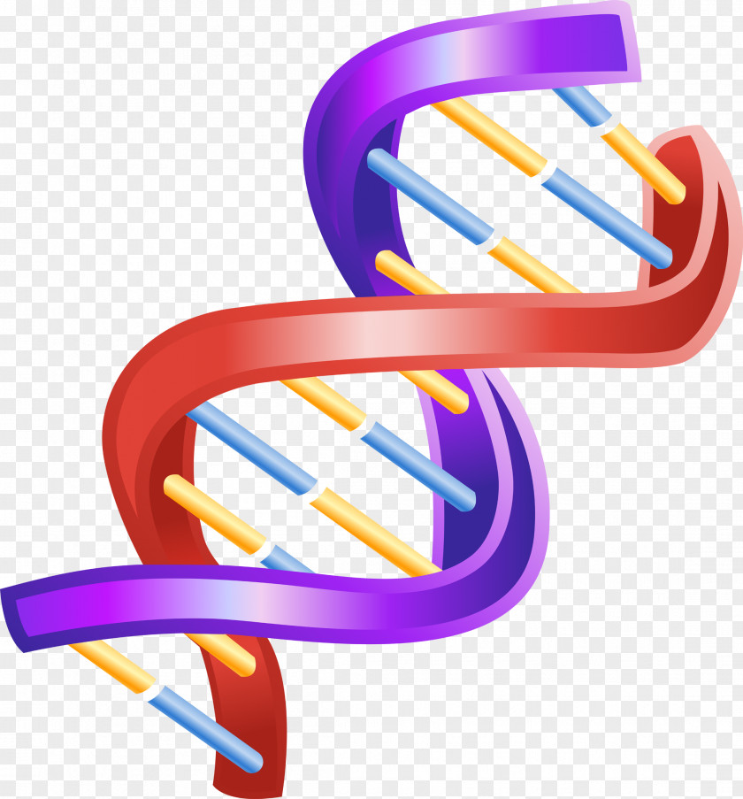 DNA Nucleic Acid Double Helix The Helix: A Personal Account Of Discovery Structure Clip Art PNG