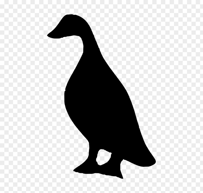DUCK Duck Bird Silhouette Goose PNG