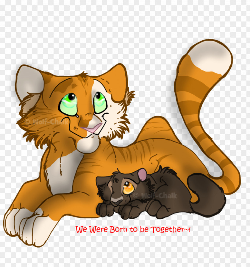 Kitten Whiskers Cat Paw Clip Art PNG