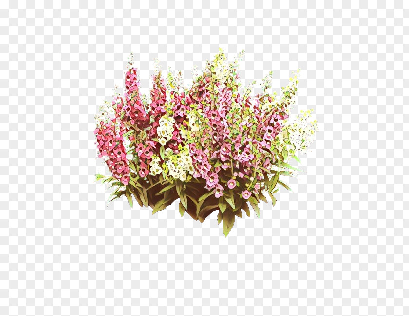 Perennial Plant Spirea Flower Flowering Cut Flowers Heather PNG