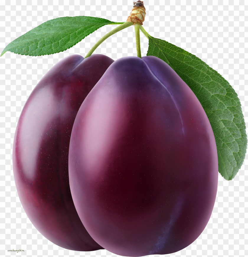 Plum Transparent Clip Art PNG