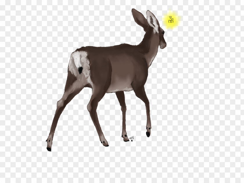 Deer Watercolor Reindeer Antelope White-tailed Goat PNG