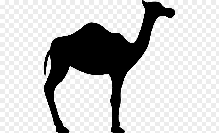 Desert Elk Dromedary Bactrian Camel Silhouette PNG