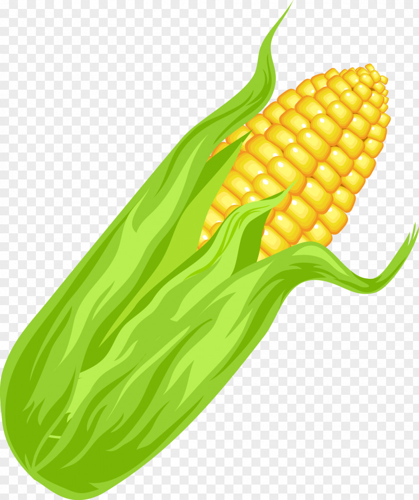 Fruits And Vegetables Vector Material Maize Euclidean Vegetable PNG