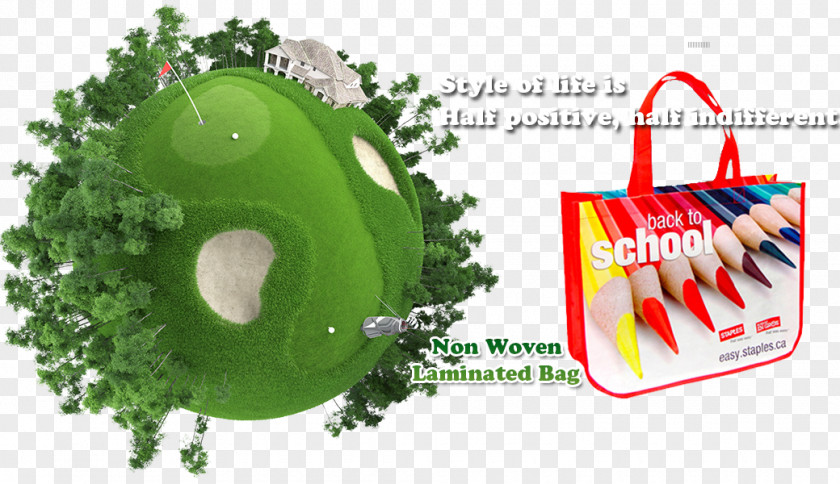 Golf Course Clubs Balls Equipment PNG